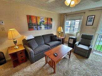 75 Mountain Lodge Ln #304, Snowshoe, WV 26209