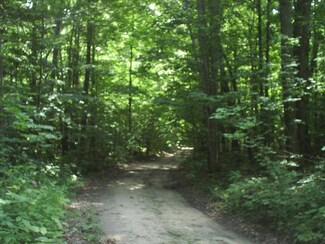 0 Valley Unit 1788741, Alden, MI 49612