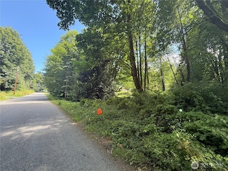 0 Cape Horn Dr Unit NWM2402368, Concrete, WA 98237