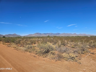 1.5 Ac Lot A Camino de Mesa --, Huachuca City, AZ 85616