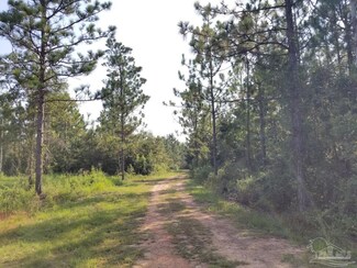 0 Jerkins Loop Rd Unit Lot 1 614614, Atmore, AL 36502