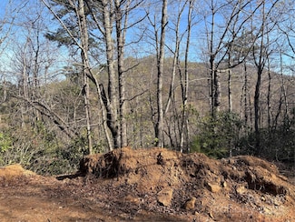 00 Kathy Lake Dr Unit 24, 25, Hendersonville, NC 28792