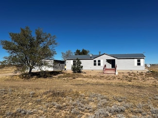 1671 County Road 110, Rye, CO 81069