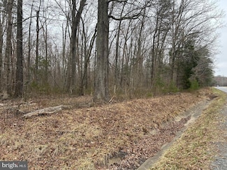 0 Swan Woods Rd Unit VAOR2009088, Rhoadesville, VA 22542