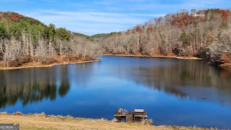 0 Meadowlands Dr Unit 10535692, Talking Rock, GA 30175