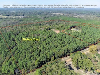 TBD 50 acres Coppedge Smith Rd, Harleton, TX 75651