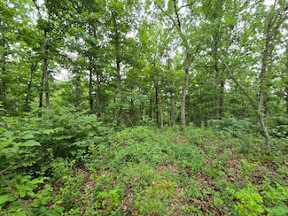 Tbd County Road 481w, Cross Timbers, MO 65634