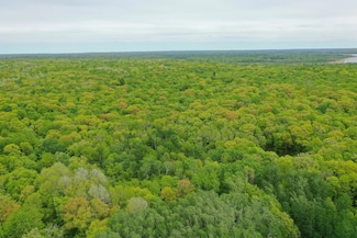 TBD Knopf Rd, Holmesville Township, MN 56578