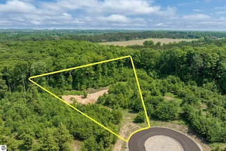 8762 Hemlock Hill Dr Unit 11, Long Lake Township, MI 49685