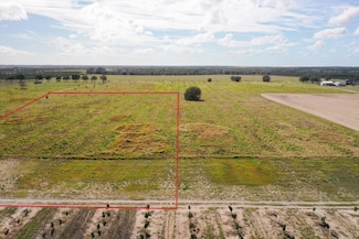 LOT 12 Lake Buffum Rd S, Fort Meade, FL 33841