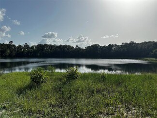 00 Malauka Lot 19 Loop, Ocklawaha, FL 32179