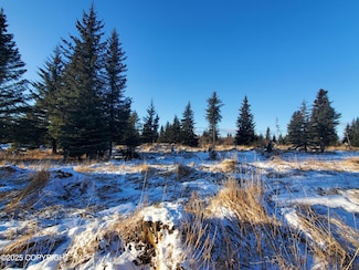 17537 Chefornak St, Happy Valley, AK 99639