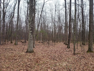 French Rd, Amberg, WI 54156