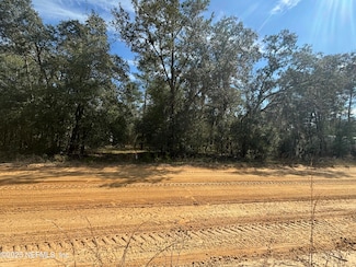 0000 David Ave, Interlachen, FL 32148