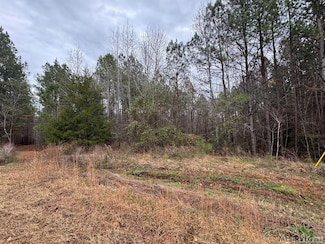 124 Maude Ln, Macon, NC 27551