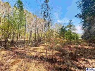 0 E Main Street Extension, Bennettsville, SC 29512