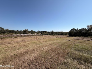 0 Summit Dr SW, Bogue Chitto, MS 39629