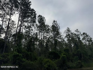 0 Baylor Ave Unit 2106935, Hastings, FL 32145