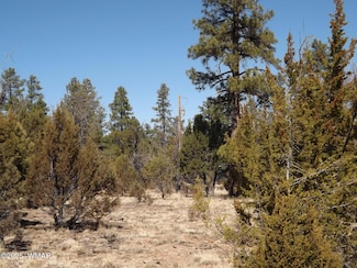 0004X Parcel 2 Section 31, Overgaard, AZ 85933