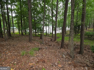 1072 Chickasaw Ln, Lincolnton, GA 30817