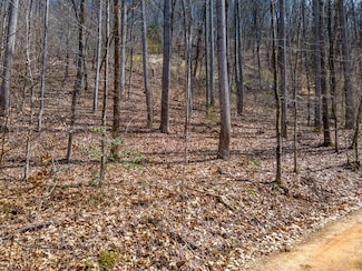 000 Smokerise Rd, Franklin, NC 28734