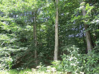 0 Wileytown Rd Unit 201923409, Providence, NY 12850