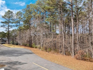 112 Northington Ct, Sunset, SC 29685