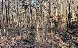 71J Ash Branch Cir, Hayesville, NC 28904