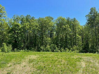 Lot 2 Mystic Cir, Loon Lake Township, MN 56472