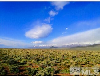 1001039 N Izzenhood Basin Rd, Battle Mountain, NV 89820