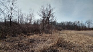 V\L Deer Path Dr, Tipton, MI 49287
