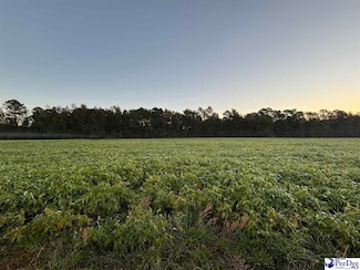 2008 Timmons Rd, Effingham, SC 29541