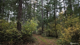 36201 S 62nd Ave, Roy, WA 98407