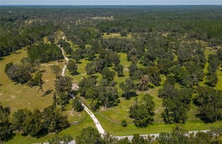 0 Tbd County Rd 316 Unit MFROM665863, Reddick, FL 32686
