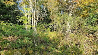 0 Route 1 Unit 18816622, Sullivan, ME 04664