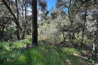 0 Marion Ave, Ben Lomond, CA 95005