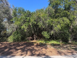 1254 N Magnolia Hill Way, Inverness, FL 34453