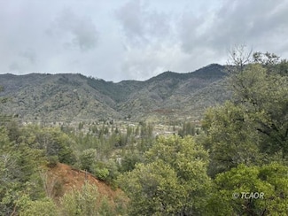 240 Rasmussen Ln, Junction City, CA 96048