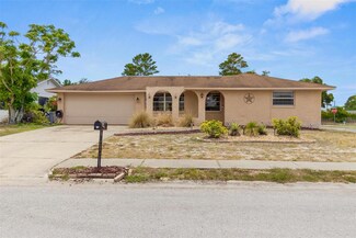 8750 Hemlock Ln, Port Richey, FL 34668