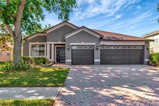 29822 Boyette Oaks Place, Wesley Chapel, FL 33545