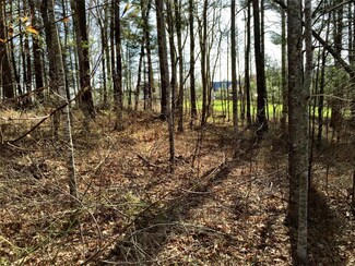 LT 37 Lillium Ln, Cullowhee, NC 28723