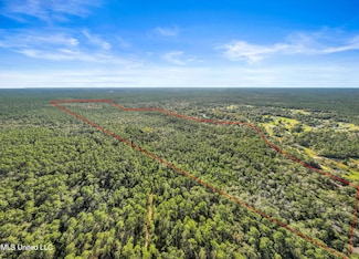 0 Reese Dr Unit 4129731, Saucier, MS 39574