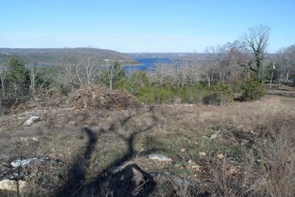 000 Cow Creek Rd, Pine A Township, MO 65611