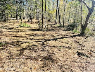 Nhn Lot #7 18 Th St, Bay Saint Louis, MS 39520