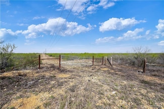 Lot 9 Los Frontones St, Rio Grande City, TX 78582