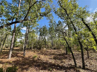 TBD NE 152nd Ct, Williston, FL 32696
