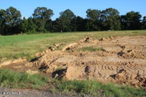 9 Chapel Hill Subdivision, Holly Springs, MS 38635