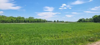 XXX 455th Ave, Arlington, MN 55307