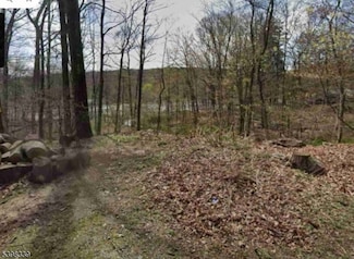 00 Ferndale Rd, West Milford, NJ 07480