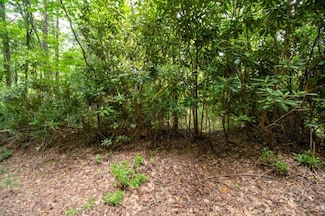 Lot F9 Fariss Trail, Fancy Gap, VA 24328
